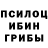 Псилоцибиновые грибы Magic Shrooms Thematmendes