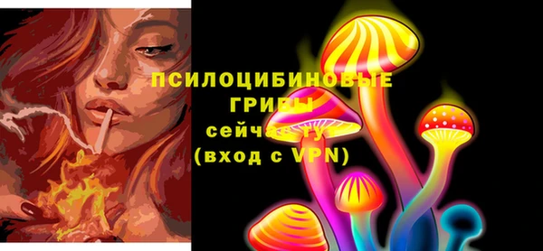 тгк Алексин