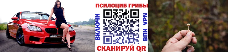 Псилоцибиновые грибы MAGIC MUSHROOMS  Буй 